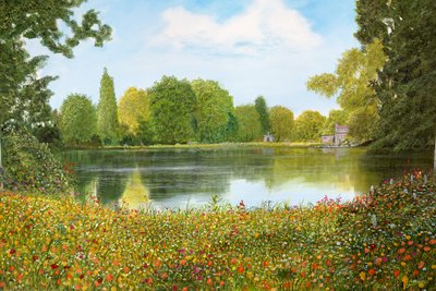 Vista del parco da Silvian Sternhagel