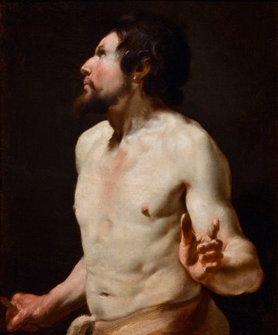 Studio di torso dalla scuola di Simon Vouet da Simon (circle of) Vouet