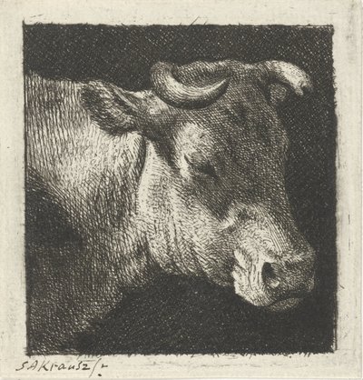 Testa di mucca a destra da Simon Andreas Krausz