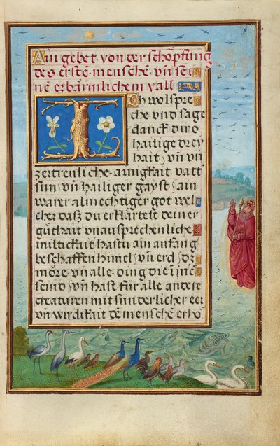Bordüre mit der Erschaffung von Vögeln und Fischen da Simon Bening