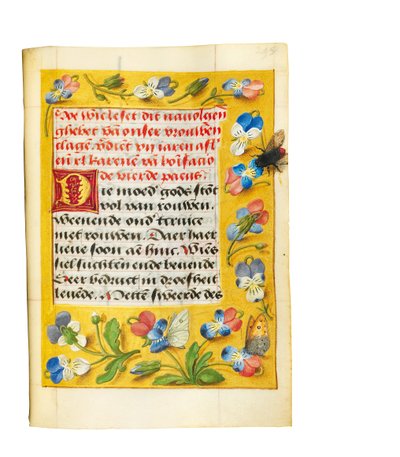 Pagina dal Libro di preghiere di Imhof, 1511 da Simon Bening