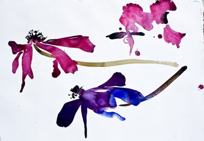 Anemoni (acquerello su carta) da Simon Fletcher