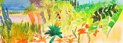 Tropical, 2016 (supporti a base d