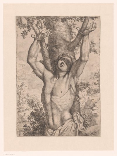 San Sebastiano legato a un albero da Simon Francois