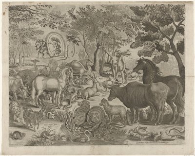 Espulsione dal Paradiso da Simon Frisius