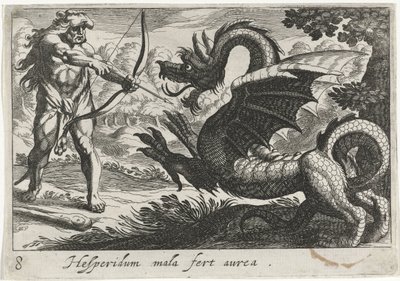 Ercole uccide il drago Ladone (temi erculei) da Simon Frisius