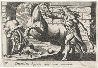 Ercole doma i cavalli di Diomede da Simon Frisius