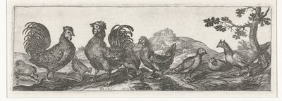 Pollame da Simon Frisius