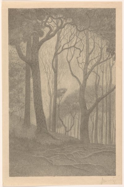 Alberi da Simon Moulijn (signed by artist)