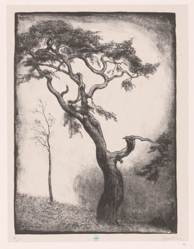 Pino da Simon Moulijn (signed by artist)