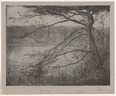 Palude vicino a Oisterwijk da Simon Moulijn (signed by artist)