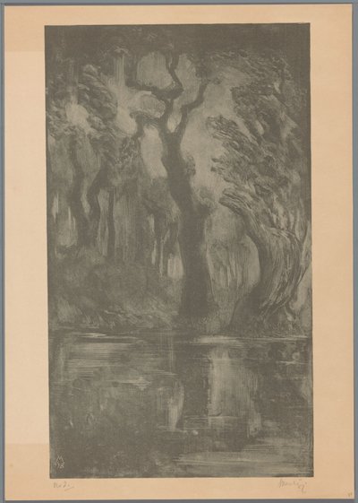 Acqua nel bosco (Bosco dei sogni) da Simon Moulijn (signed by artist)