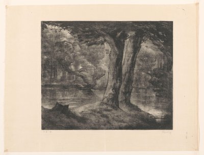 Acqua in una foresta da Simon Moulijn (signed by artist)