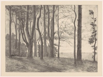 Alberi sull