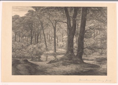 Veduta della Hunnenschans sulla Veluwe da Simon Moulijn