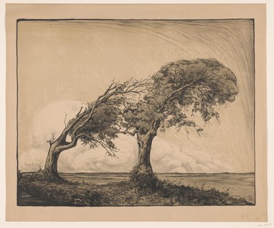 Paesaggio con due alberi da Simon Moulijn