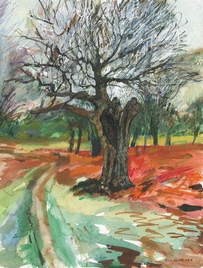 Vecchio albero, Richmond Park, 2019 da Simon Neville