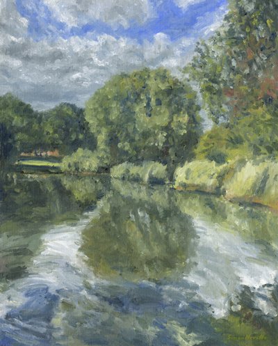 Stagno n. 16 da Simon Neville