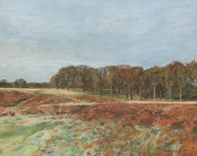 Richmond Park, 2019 (olio su tela) da Simon Neville