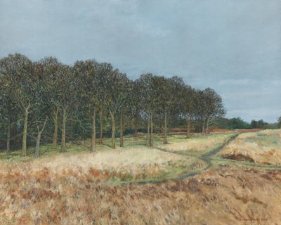 Bosco, Richmond Park, 2019 (olio su tela) da Simon Neville