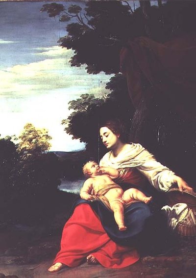 Madonna con un cesto da Simon Vouet