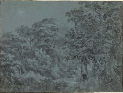 Nel bosco dell