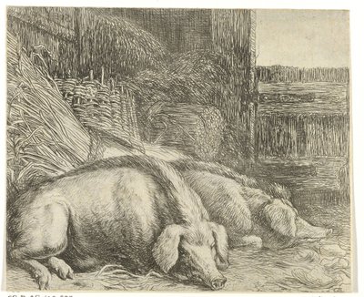 Due maiali da Simon de Vlieger