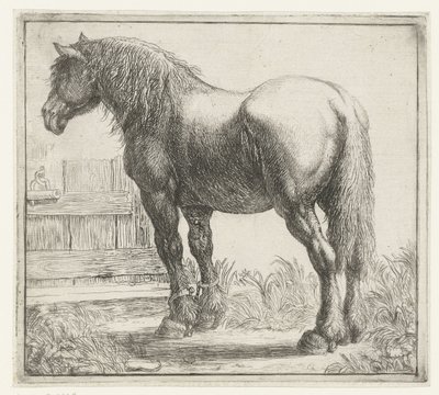 Cavallo da lavoro vicino a un recinto da Simon de Vlieger