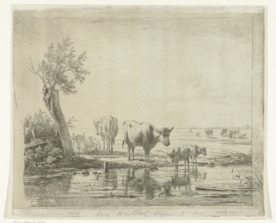 Paesaggio di pascolo con mucche vicino all