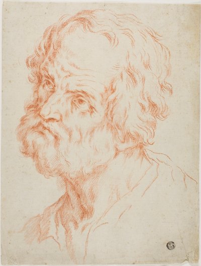 Testa maschile da Simone Cantarini