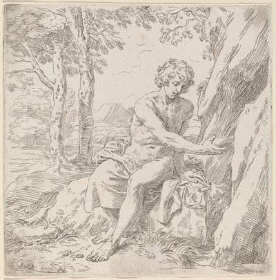 San Giovanni Battista nel deserto da Simone Cantarini