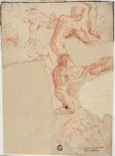 Schizzi di nudi maschili, gambe (recto); schizzi di nudi maschili (verso) da Simone Cantarini