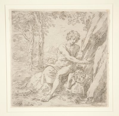 San Giovanni Battista nel Deserto da Simone Cantarini