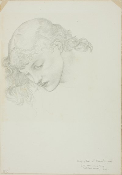 Testa, studio per Specchio di Venere da Sir Edward Burne Jones