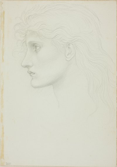 Testa di Ragazza Rivolta a Sinistra da Sir Edward Burne Jones