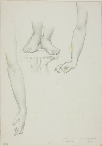 Studio per Specchio di Venere: Braccia e Piedi di Venere da Sir Edward Burne Jones