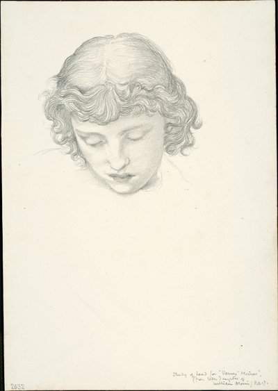 Studio per Specchio di Venere: Testa da Sir Edward Burne Jones