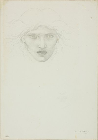 Studio per Rondanini Medusa da Sir Edward Burne Jones