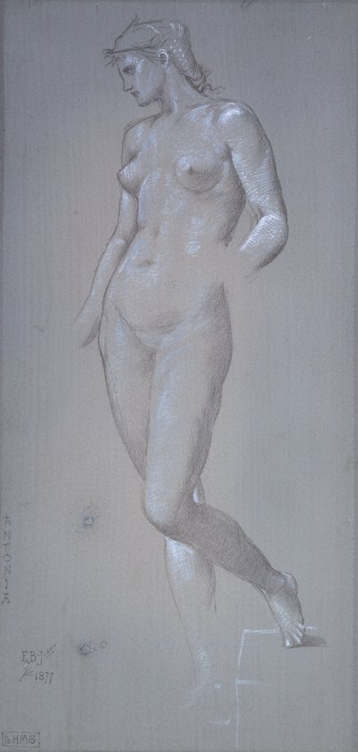 Antonia da Sir Edward Coley Burne Jones