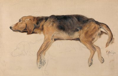 Studio di un cane sdraiato da Sir Edwin Henry Landseer