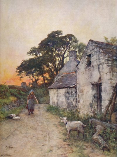 Una corsia di villaggio, Galles del Sud, fine XIX-inizio XX secolo da Sir Ernest Albert Waterlow