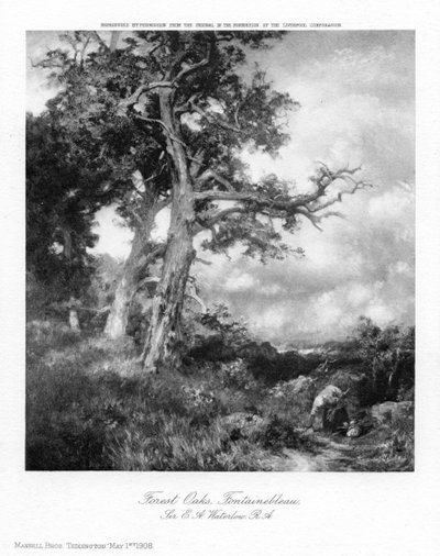 Querce della foresta, Fontainebleau da Sir Ernest Albert Waterlow