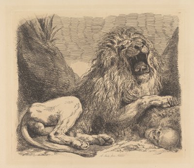 Studio dalla natura; un leone tra le rocce, ruggente, un teschio umano in basso a destra da Sir George Hayter