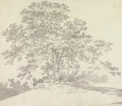 Albero da Sir George Howland Beaumont seventh Baronet