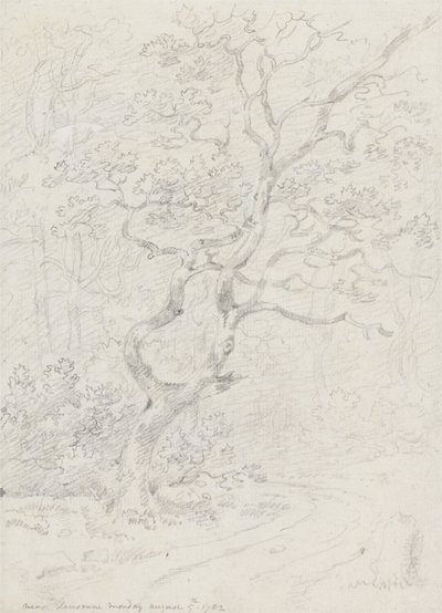 Alberi, vicino a Losanna da Sir George Howland Beaumont seventh Baronet