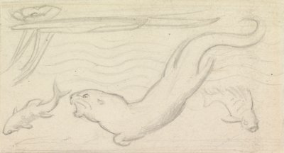 Studio di Vetrata, Una Lontra e Due Pesci da Sir John Everett Millais