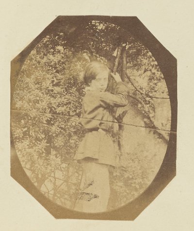 [Ritratto di ragazzo] da Sir John Joscelyn Coghill
