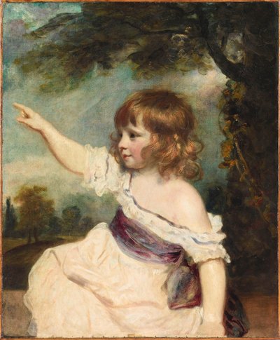 Ritratto di Francis George Hare conosciuto come Master Hare da Sir Joshua Reynolds