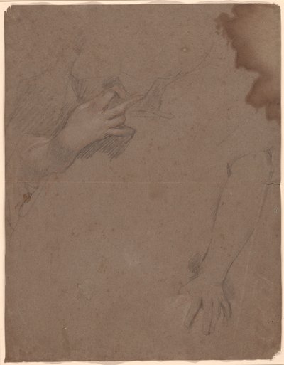 Disegni di Mani da Sir Peter Lely