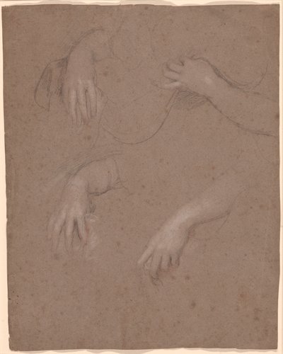 Disegni di Mani da Sir Peter Lely